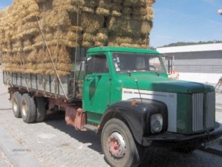 CAMION PAJA